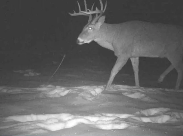 $349,999 | 27262 151st Avenue, Bagley, MN 56621