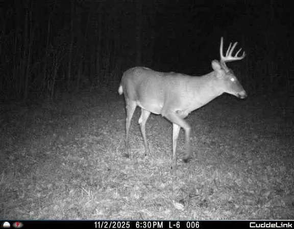 $349,999 | 27262 151st Avenue, Bagley, MN 56621