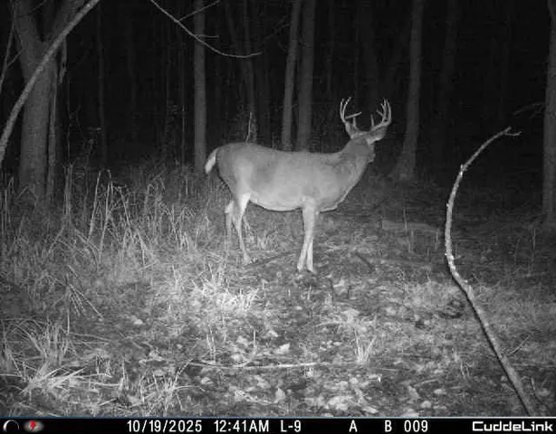 $349,999 | 27262 151st Avenue, Bagley, MN 56621