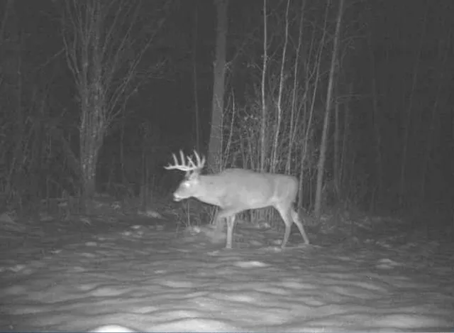 $349,999 | 27262 151st Avenue, Bagley, MN 56621