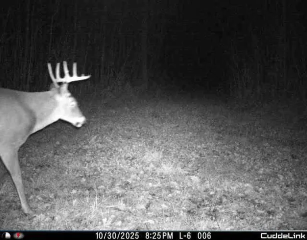 $349,999 | 27262 151st Avenue, Bagley, MN 56621