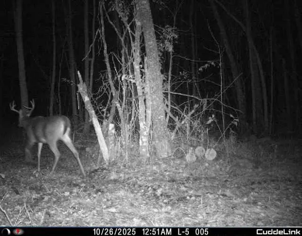 $349,999 | 27262 151st Avenue, Bagley, MN 56621