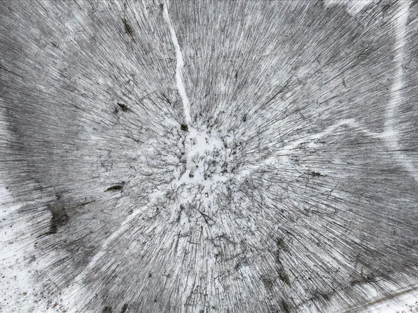 $349,999 | 27262 151st Avenue, Bagley, MN 56621