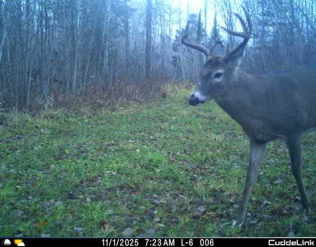 $349,999 | 27262 151st Avenue, Bagley, MN 56621