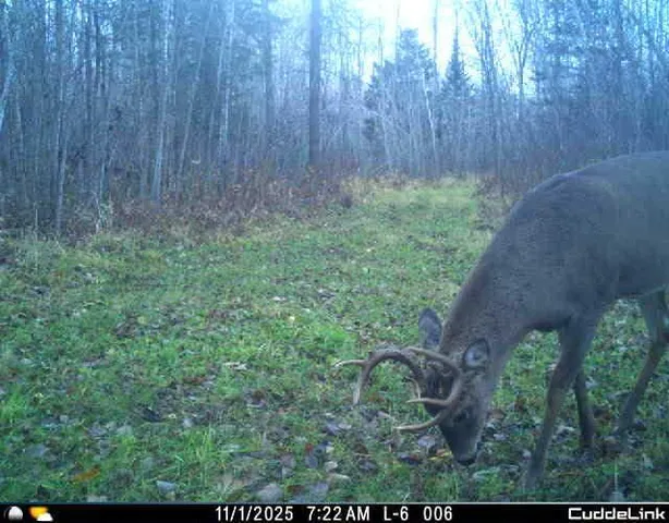 $349,999 | 27262 151st Avenue, Bagley, MN 56621