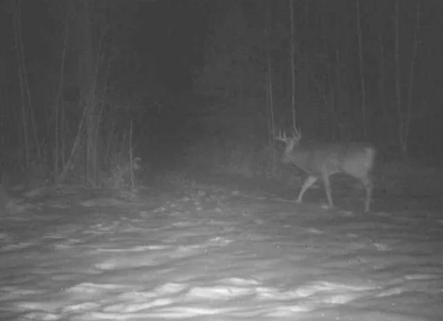 $349,999 | 27262 151st Avenue, Bagley, MN 56621