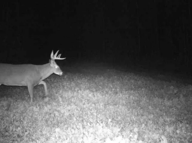 $349,999 | 27262 151st Avenue, Bagley, MN 56621