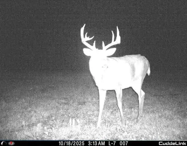 $349,999 | 27262 151st Avenue, Bagley, MN 56621