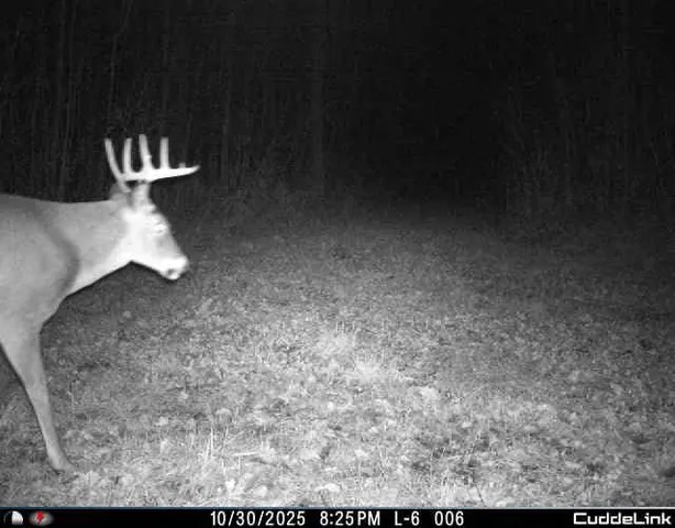 $349,999 | 27262 151st Avenue, Bagley, MN 56621