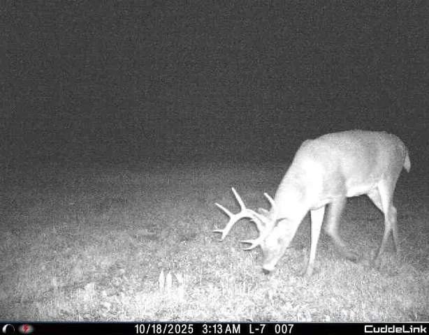 $349,999 | 27262 151st Avenue, Bagley, MN 56621