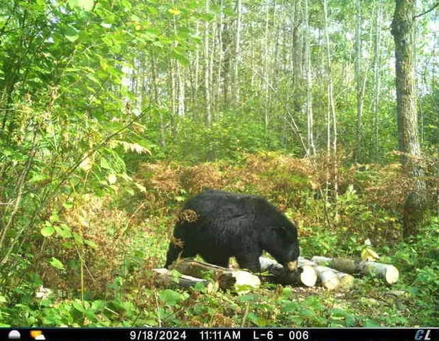 $349,999 | 27262 151st Avenue, Bagley, MN 56621