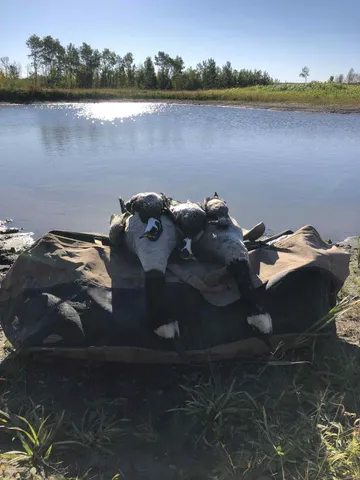 $349,999 | 27262 151st Avenue, Bagley, MN 56621