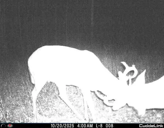 $349,999 | 27262 151st Avenue, Bagley, MN 56621