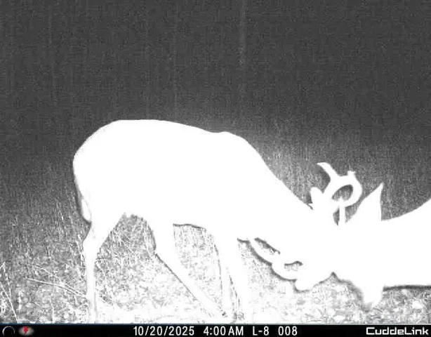 $349,999 | 27262 151st Avenue, Bagley, MN 56621