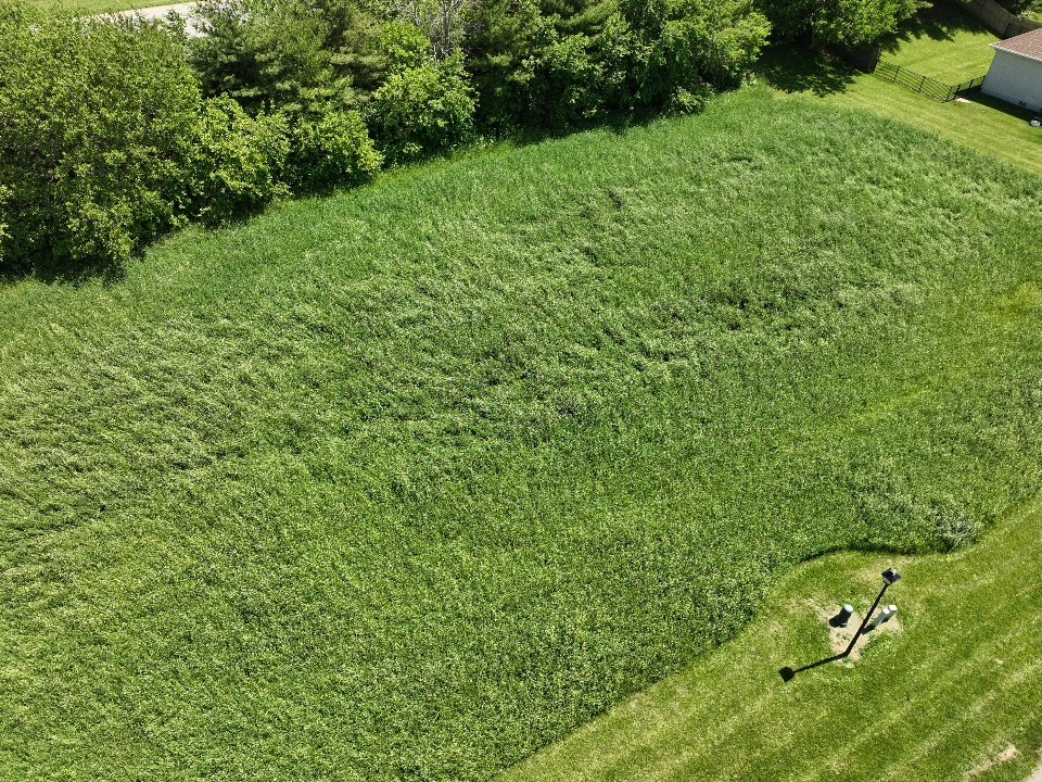 Lot 44 Edgewater Mattoon, IL 61938 - Photo 1 of 3