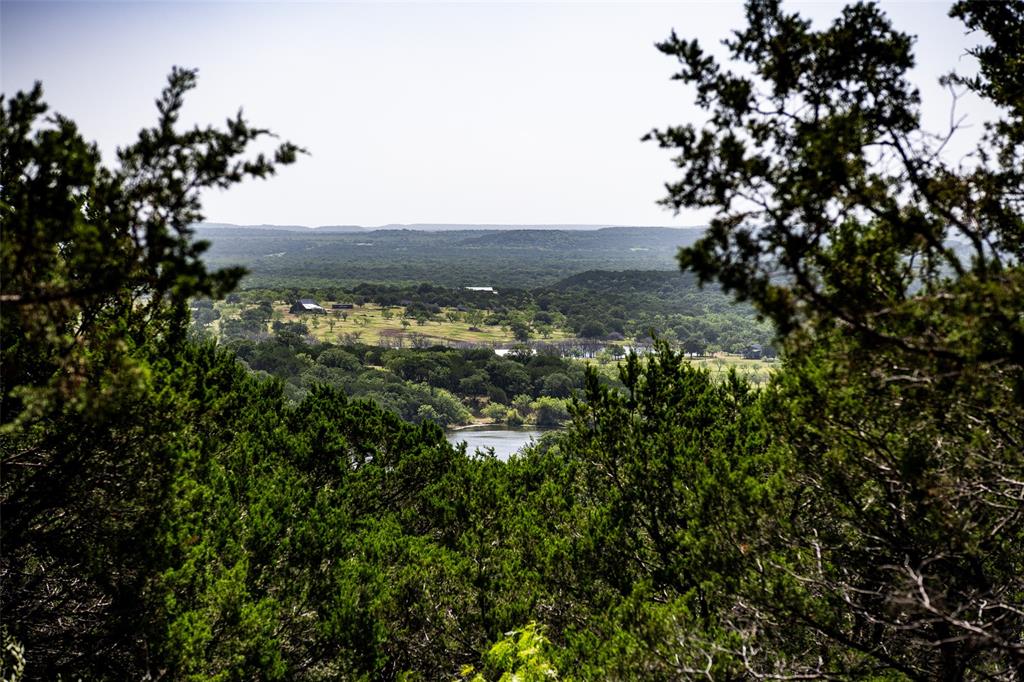 235 Big Bear Loop Strawn, TX 76475 - Photo 5 of 40 a view of a bunch of trees