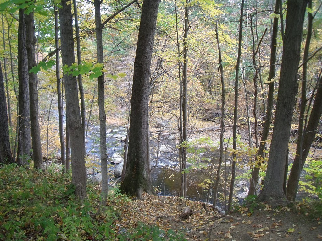 0 Riverside Drive Northampton, MA 01062 - Photo 3 of 6 Gallery Image 3