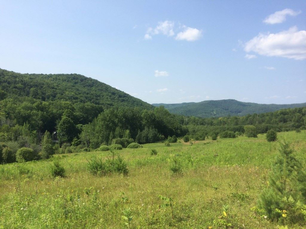 147 Turnpike Road Strafford, VT 05070 - Photo 27 of 32