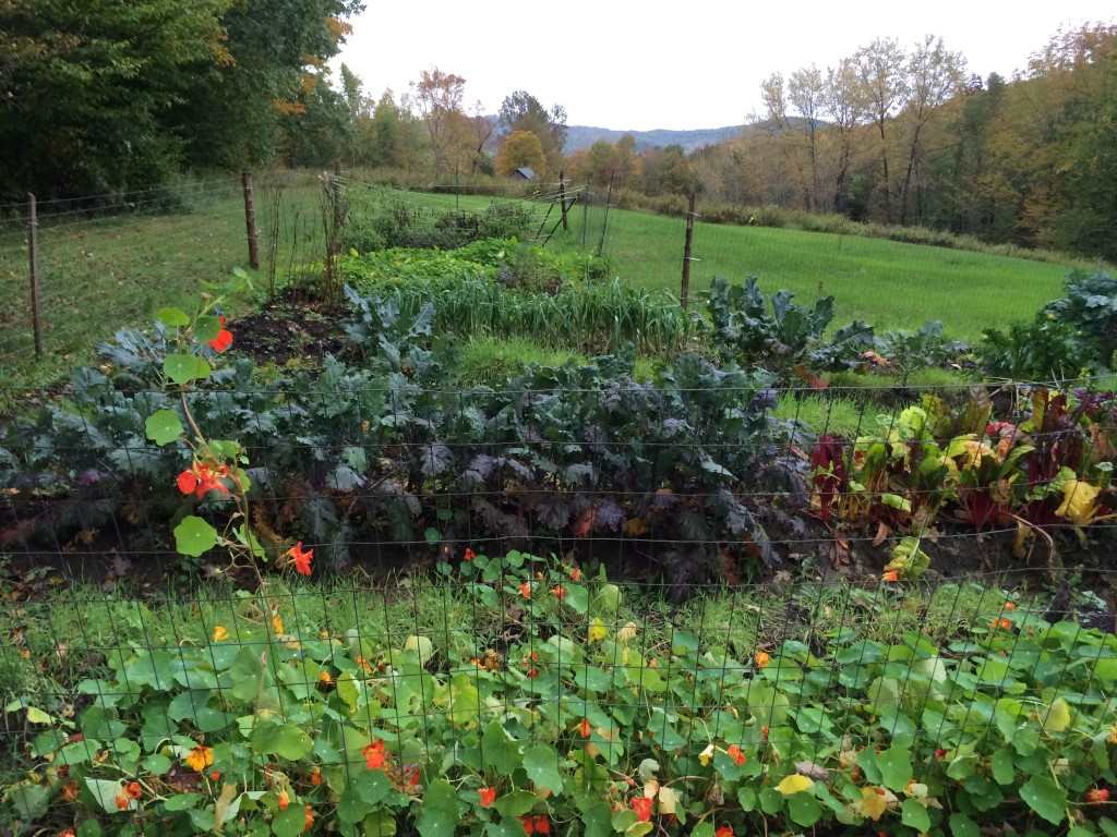 147 Turnpike Road Strafford, VT 05070 - Photo 28 of 32
