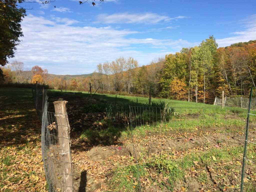 147 Turnpike Road Strafford, VT 05070 - Photo 29 of 32
