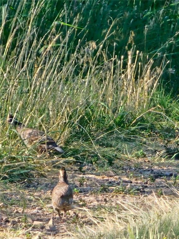 1454 271 St Road Latham, KS 67072 - Photo 51 of 95