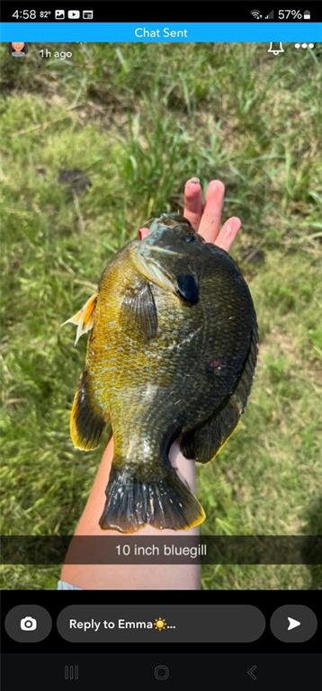 1454 271 St Road Latham, KS 67072 - Photo 52 of 95