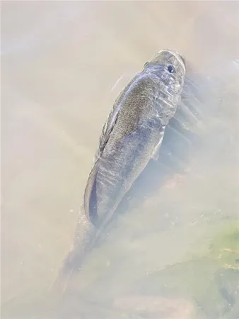 $1,424,500 | 1454 271 St Road, Latham, KS 67072