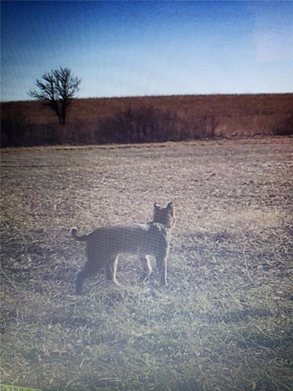 1454 271 St Road Latham, KS 67072 - Photo 55 of 95
