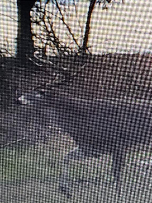 1454 271 St Road Latham, KS 67072 - Photo 56 of 95