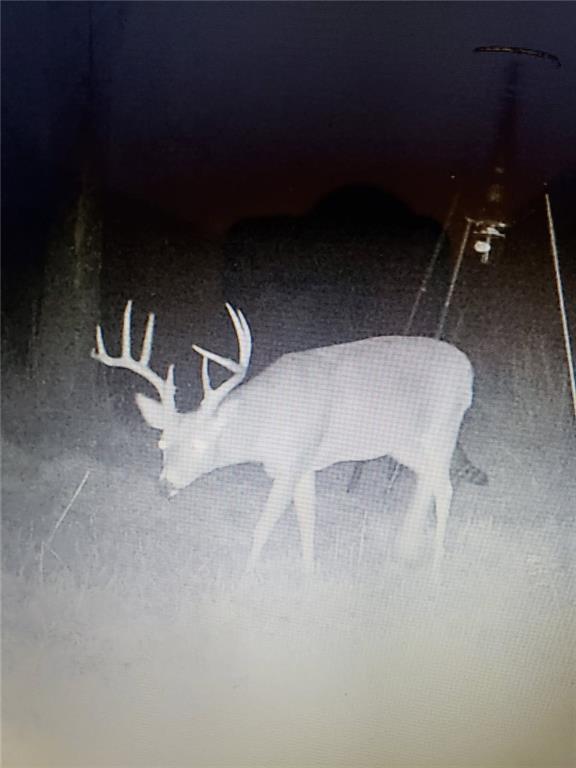 1454 271 St Road Latham, KS 67072 - Photo 57 of 95