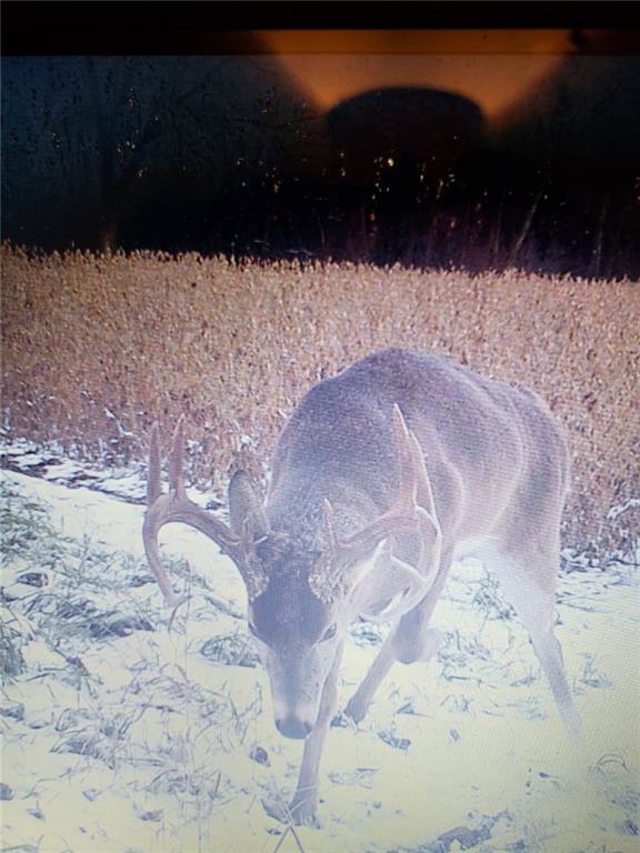 1454 271 St Road Latham, KS 67072 - Photo 58 of 95