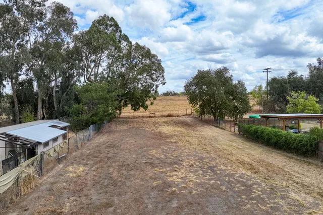 a view of a yard with plants and trees