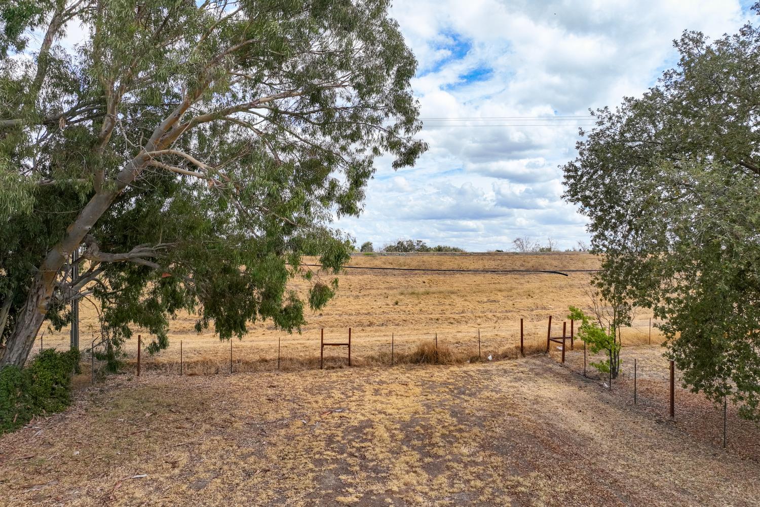 0 Tunis Road Sacramento, CA 95835 - Photo 4 of 7 a view of a large yard next to a large tree