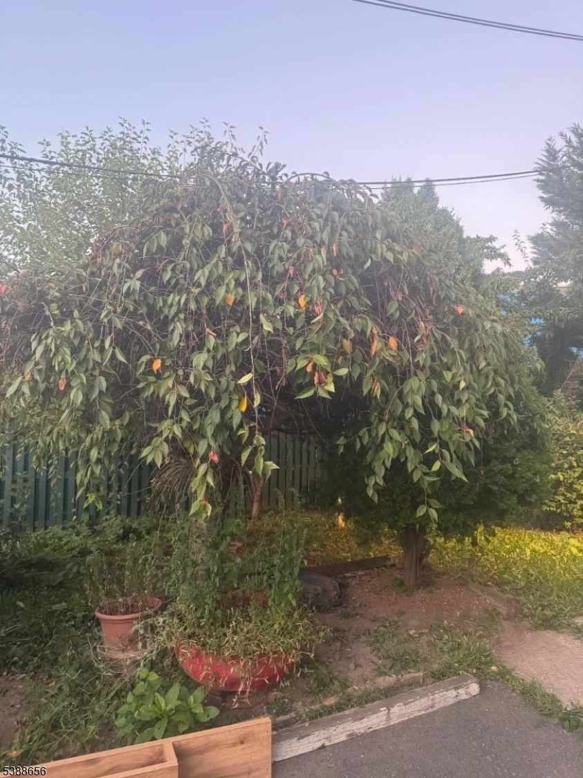 406 South 7th Street, Unit 2 Newark, NJ 07103 - Photo 13 of 13 a view of a yard with a tree
