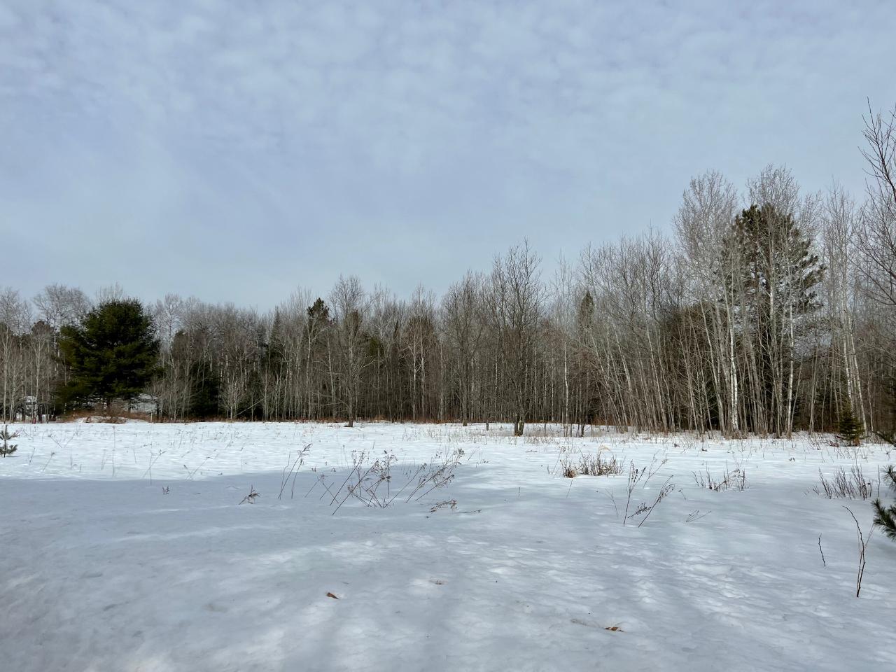 On Big Pine Drive Rhinelander, WI 54501 - Photo 5 of 19 Gallery Image 5
