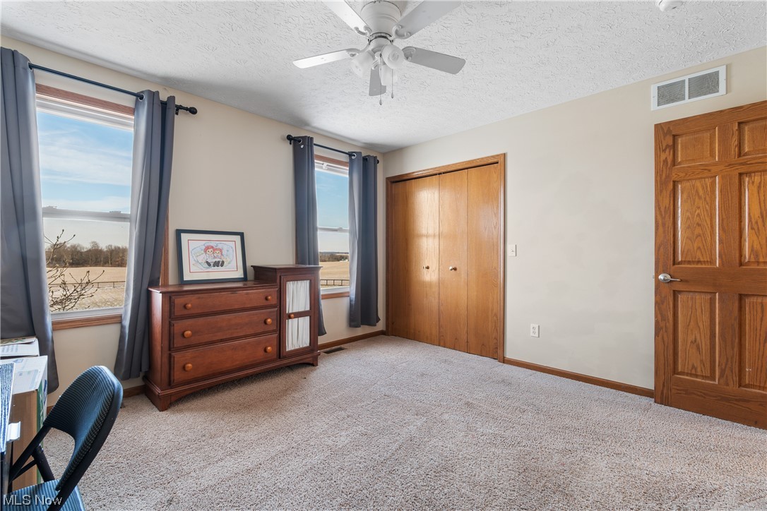 4363 Wile Road Wooster, OH 44691 - Photo 30 of 36 Carpeted home office featuring plenty of natural light, a textured ceiling, and ceiling fan