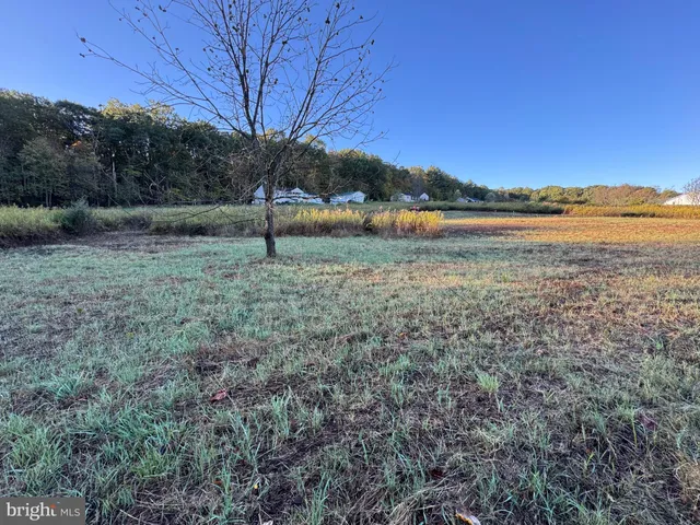 a view of a yard next to a large tree