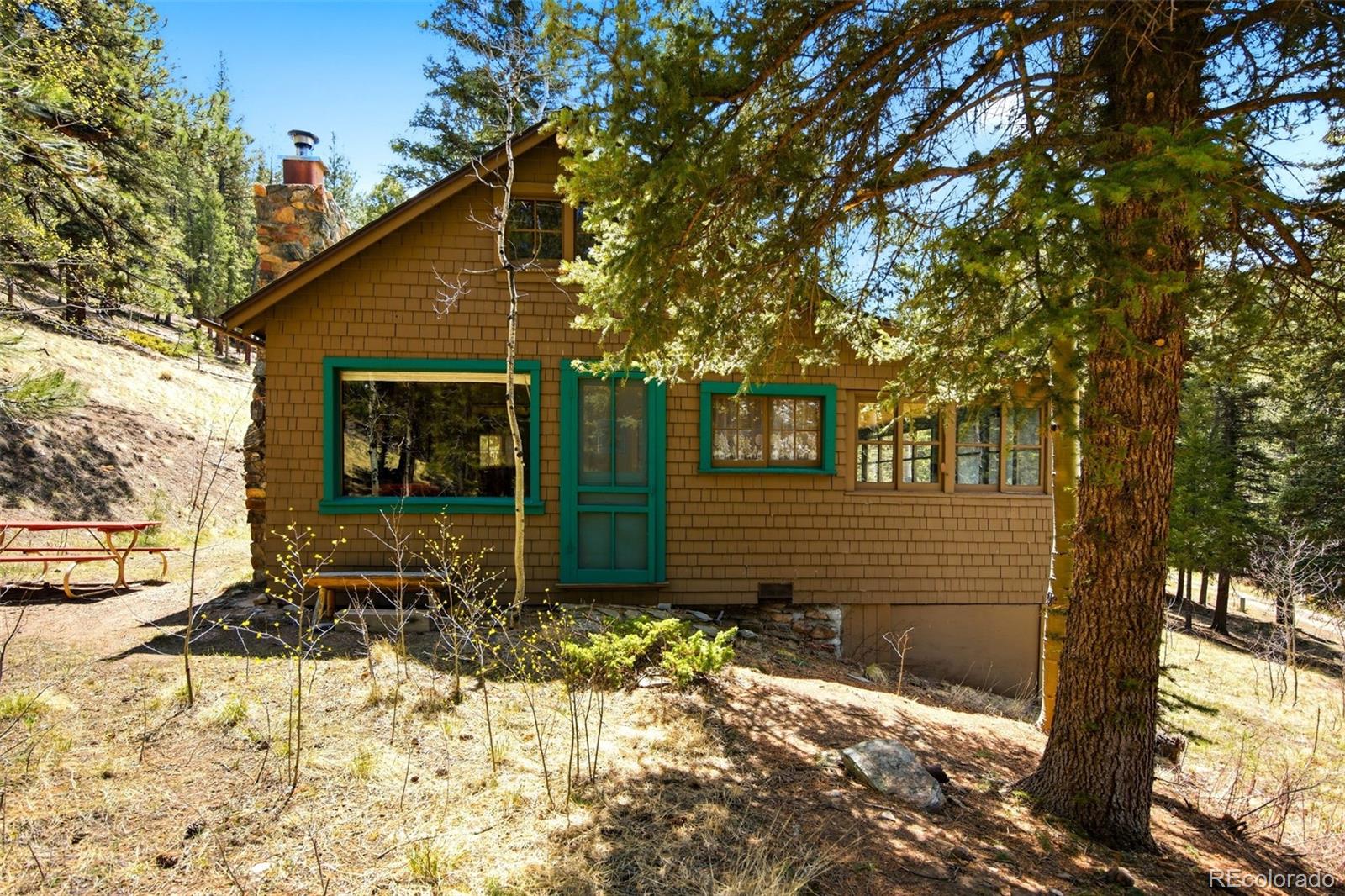 652 Payne Gulch Road Bailey, CO 80421 - Photo 2 of 33