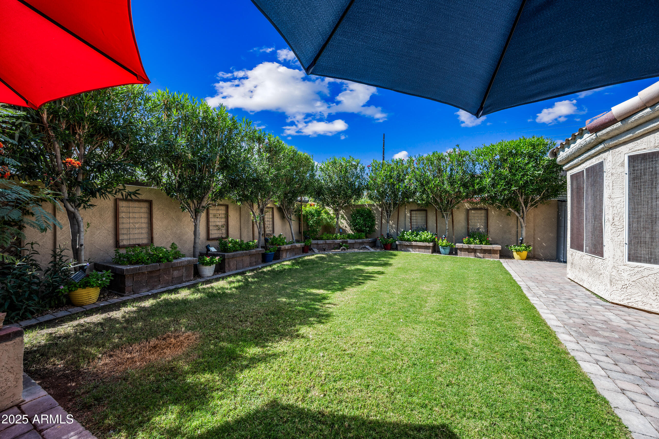 1541 West Chilton Avenue Gilbert, AZ 85233 - Photo 44 of 71 Backyard