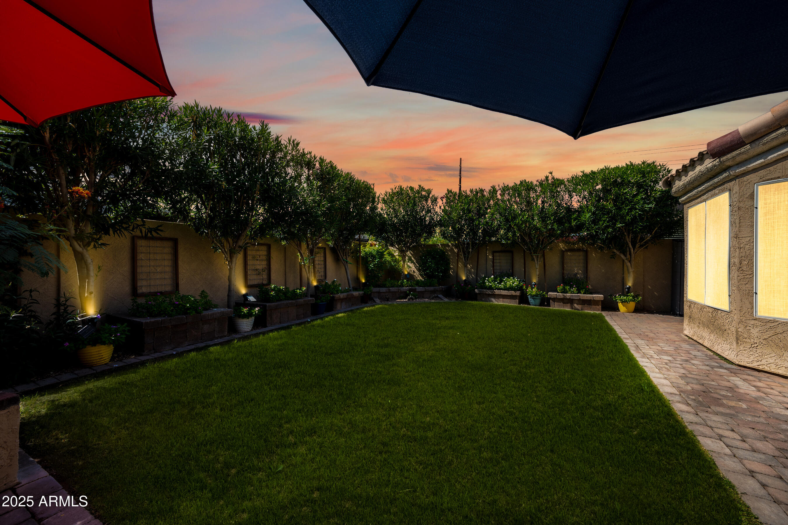 1541 West Chilton Avenue Gilbert, AZ 85233 - Photo 53 of 71 Backyard