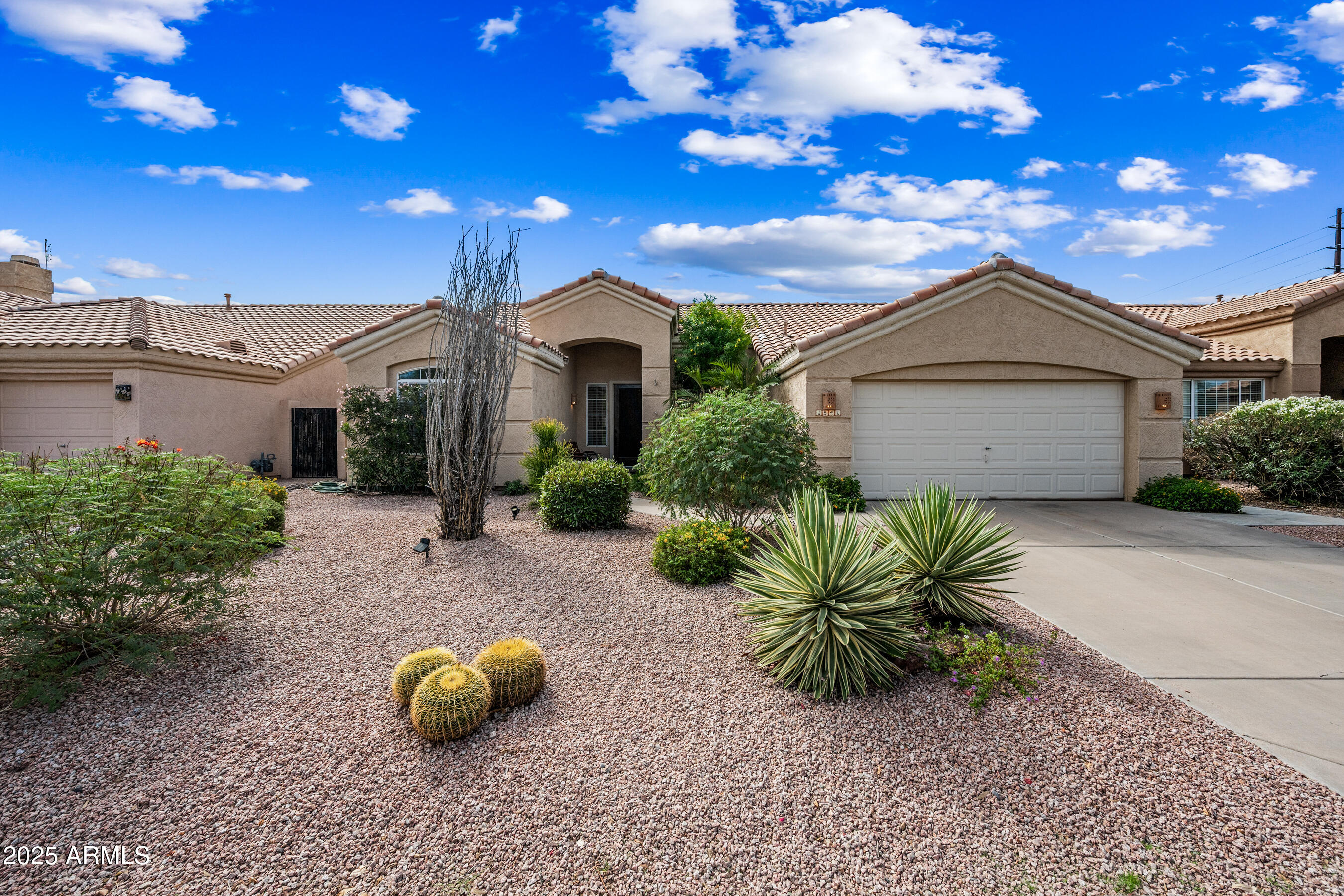 1541 West Chilton Avenue Gilbert, AZ 85233 - Photo 56 of 71 a front view of a house with a garden