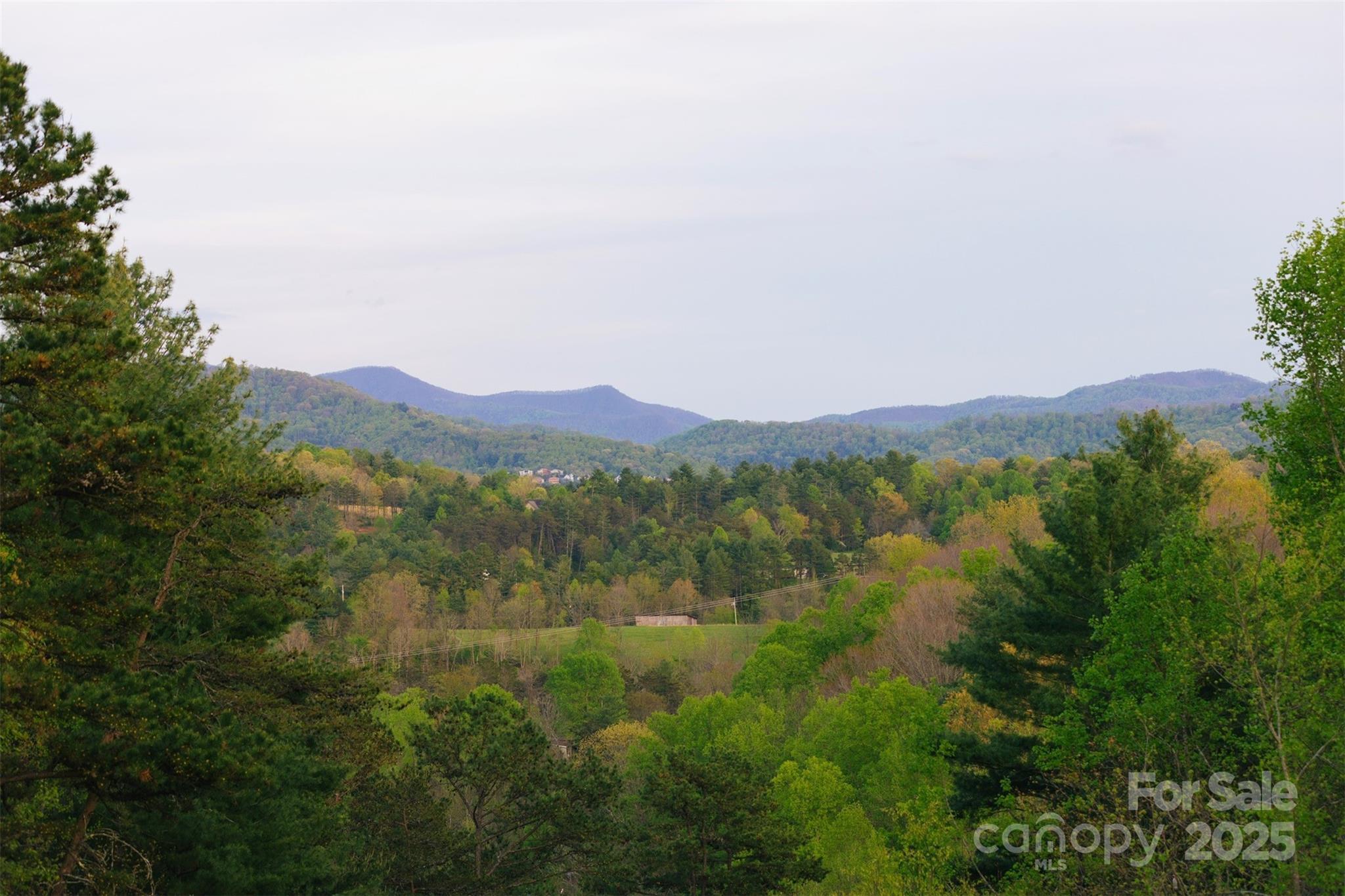375 Sheppard Branch Road Weaverville, NC 28787 - Photo 24 of 34 Gallery Image 24