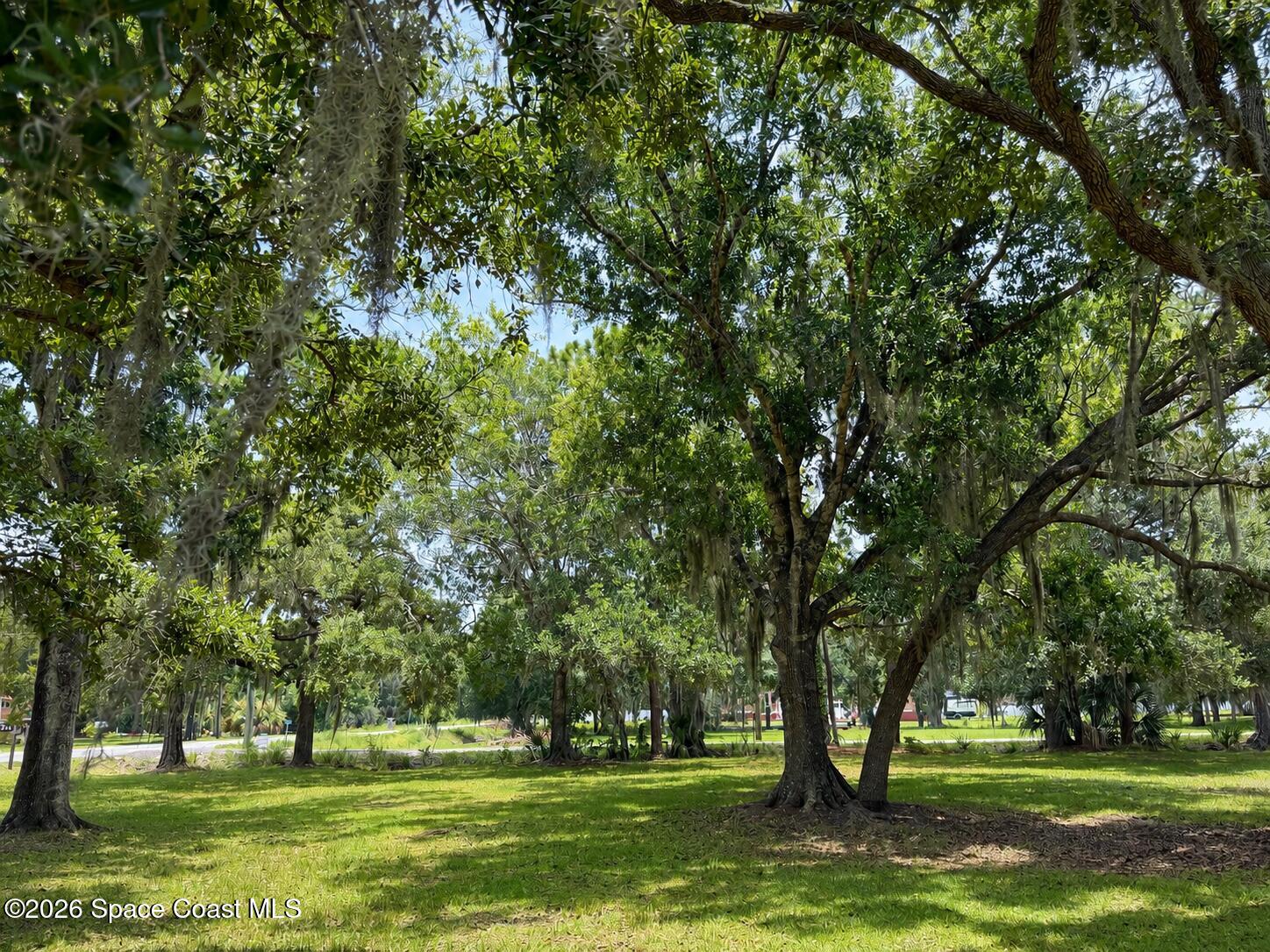 545 Chase Hammock Road Merritt Island, FL 32953 - Photo 4 of 17 front yard