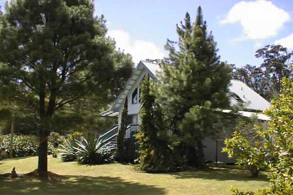 19-4081 Kilauea Road Volcano, HI 96785 - Photo 3 of 5 Gallery Image 3