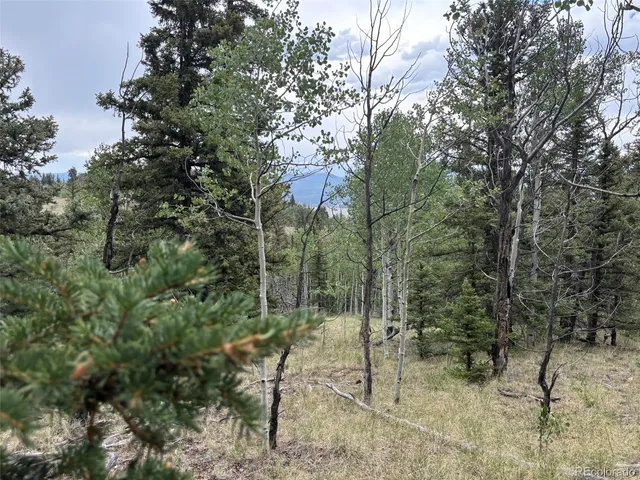 $75,000 | 1928 Wells Fargo Circle, Jefferson, CO 80456