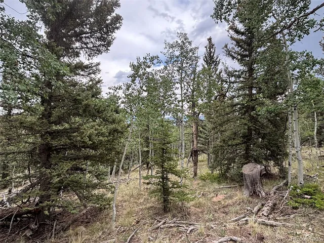 $75,000 | 1928 Wells Fargo Circle, Jefferson, CO 80456