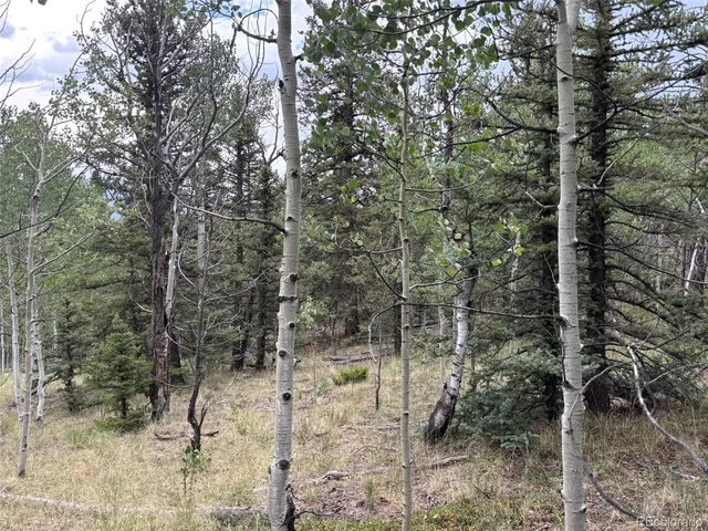 $75,000 | 1928 Wells Fargo Circle, Jefferson, CO 80456