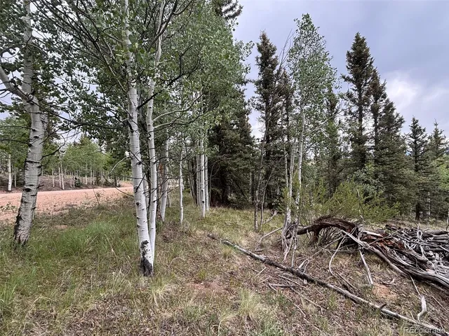 $75,000 | 1928 Wells Fargo Circle, Jefferson, CO 80456