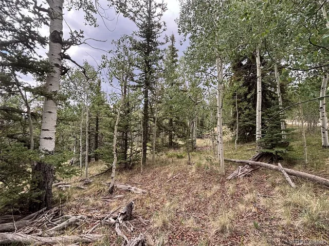 $75,000 | 1928 Wells Fargo Circle, Jefferson, CO 80456