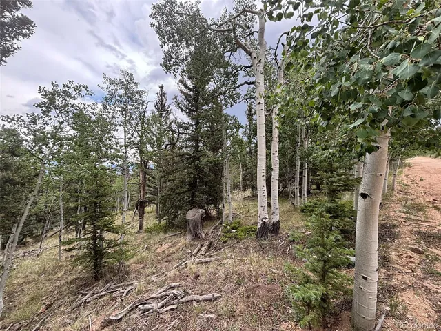$75,000 | 1928 Wells Fargo Circle, Jefferson, CO 80456
